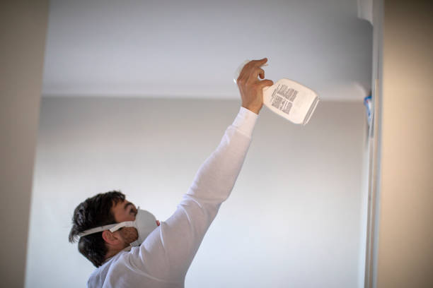 Best Commercial Mold Removal  in Fort Salonga, NY